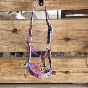 Colorful Leopard Print Pony Large Halter